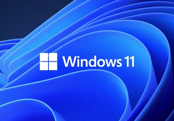 Win11的更新文件在哪里？